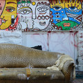 DSC_7636.jpg